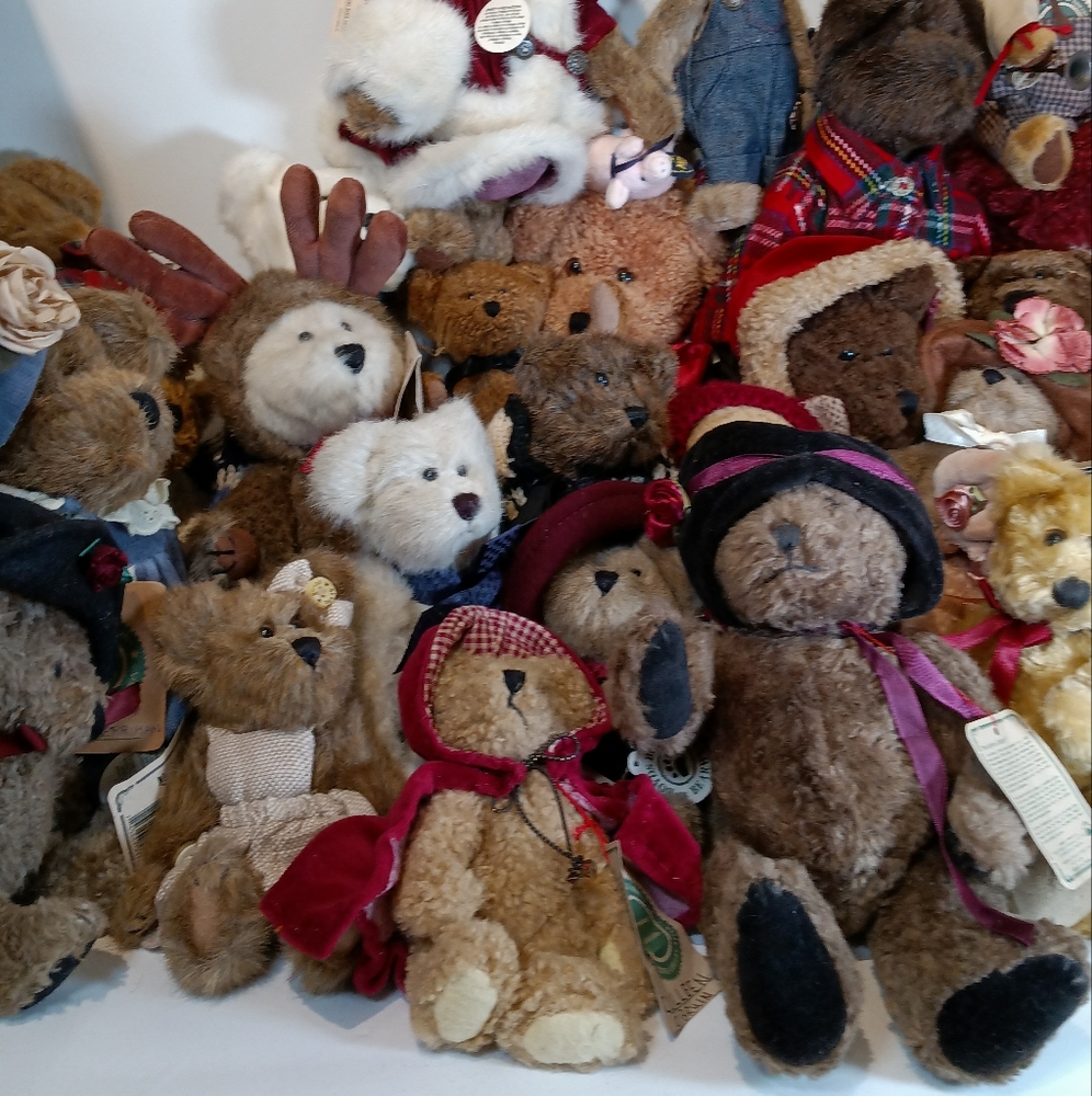 Live Show Boyds Bear 01/19/25